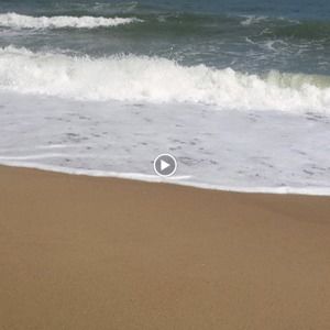 Meet your Posher, Ella